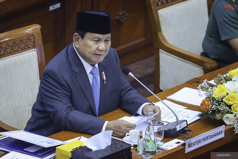 Hashim: Prabowo Menanti 2 Tahun untuk Bertemu Megawati