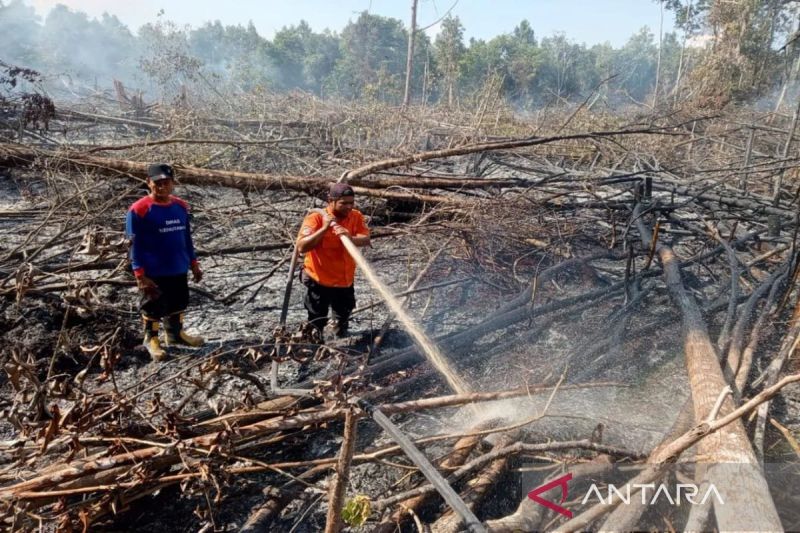 Selama 10 Bulan 77,11 Hektare Lahan di Palangka Raya Terbakar