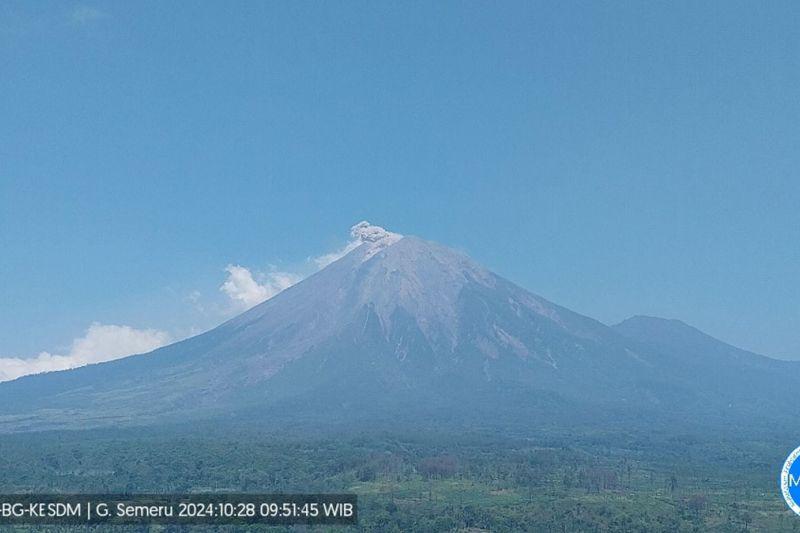 Gunung Semeru Erupsi Lagi, Tinggi Letusan Capai 800 Meter