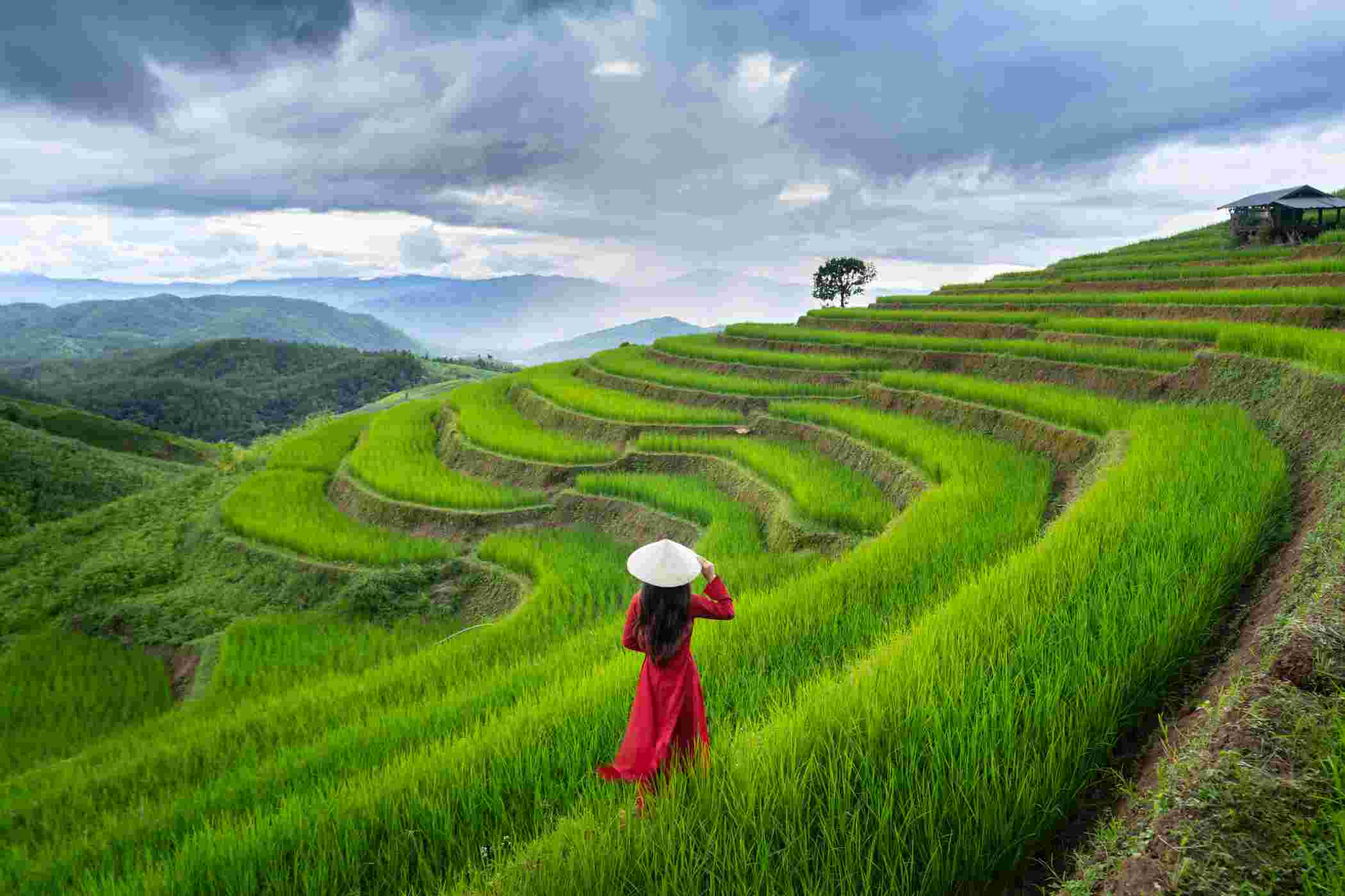 Pemerintah Siapkan Aturan Penyaluran Pupuk Bersubdisi Langsung ke Petani