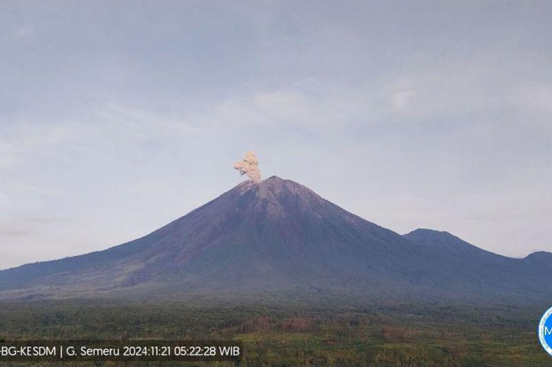 Gunung Semeru Kembali Erupsi dengan Letusan Setinggi 800 Meter