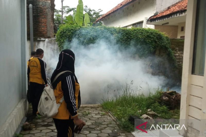 Ditemukan 275 Kasus DBD di Pamekasan pada Januari-14 Februari
