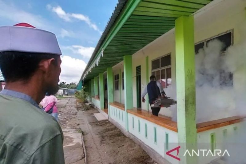 Hingga Akhir Februari 2025 Kasus DBD di Meranti Riau Capai 12 Orang