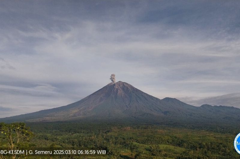 Semeru Beberapa Kali Erupsi, Tinggi Letusan hingga 1.100 Meter