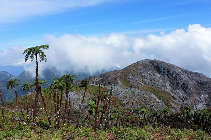 Imbas Pendaki Hilang, Wisata Gunung Binaiya Maluku Ditutup Sementara