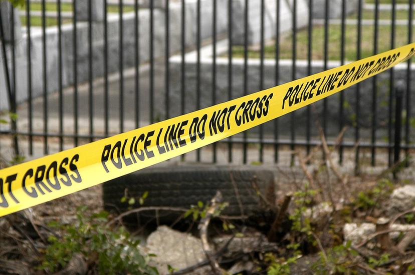 Pria di Bandung Tembak Mati Kucing, Aksinya Viral di Media Sosial 