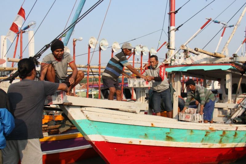Masih Banyak Anak-anak Indonesia Jadi Buruh Perikanan