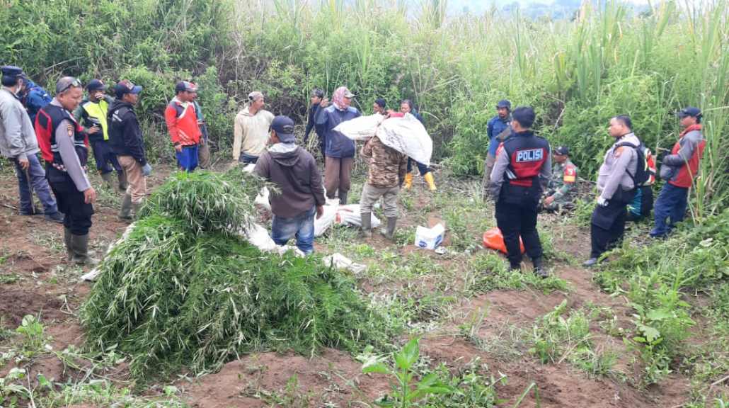 Kemenhut Bantah Larangan Drone Terkait dengan Temuan Ladang Ganja