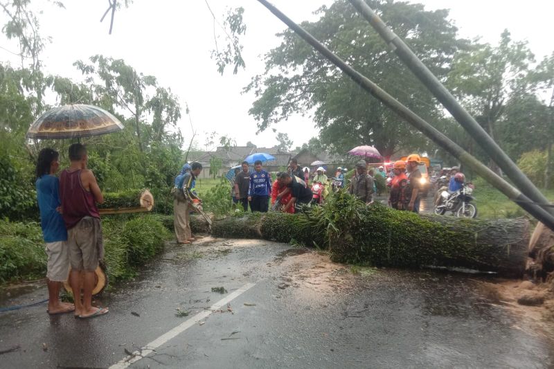 Warga Jember Diimbau Waspadai Cuaca Ekstrem Selama Sepekan