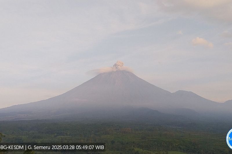 Gunung Semeru Erupsi, Letusan 900 Meter di Atas Puncak