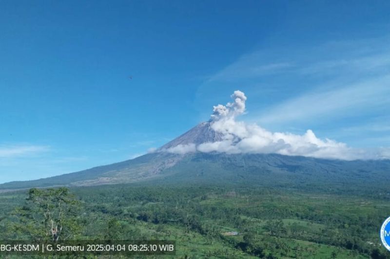 Gunung Semeru 4 Kali Erupsi, Tinggi Letusan Mencapai 800 Meter