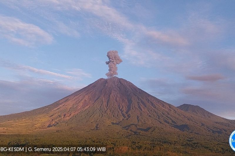 Gunung Semeru Erupsi, Tinggi Letusan 800 Meter di Atas Puncak