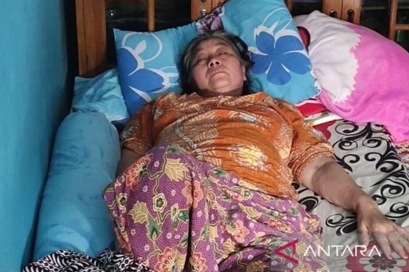 43 Warga Bojongpicung Cianjur Terserang Penyakit Chikungunya