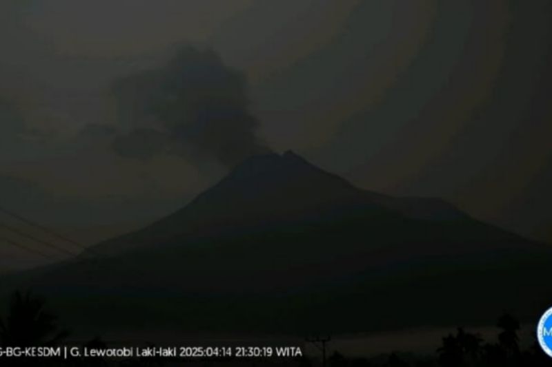 Gunung Lewotobi Laki-laki Lontarkan Abu Setinggi 500 Meter