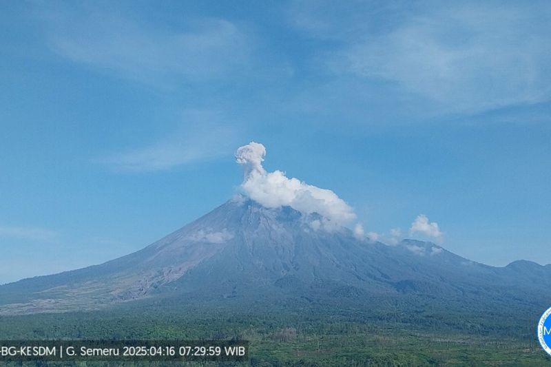 Gunung Semeru 7 Kali Erupsi, Tinggi Letusan Mencapai 1.000 Meter