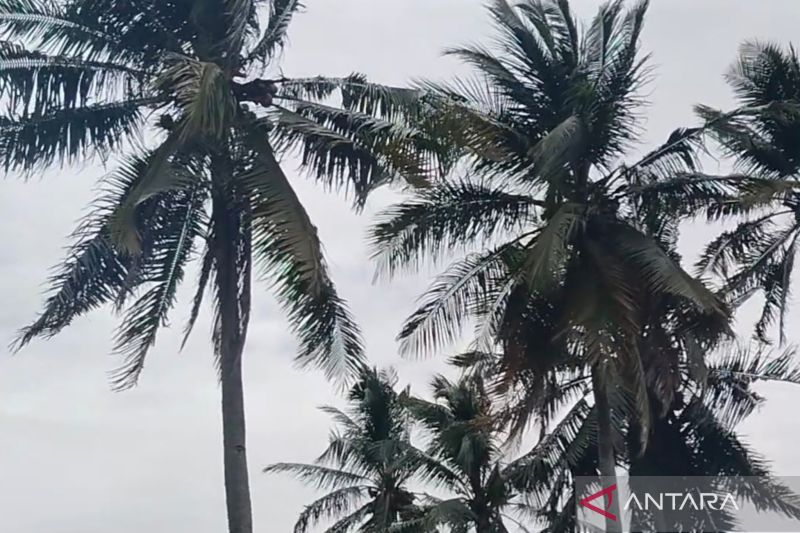 Waspada Potensi Hujan Disertai Petir di Mukomuko Bengkulu 