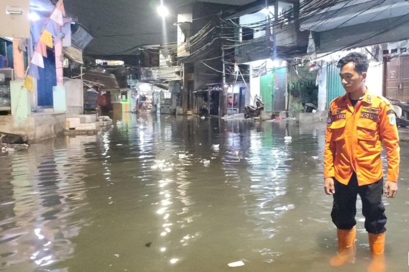  Dua RT di Kawasan Pluit Jakarta Utara Masih Terendam Banjir Rob