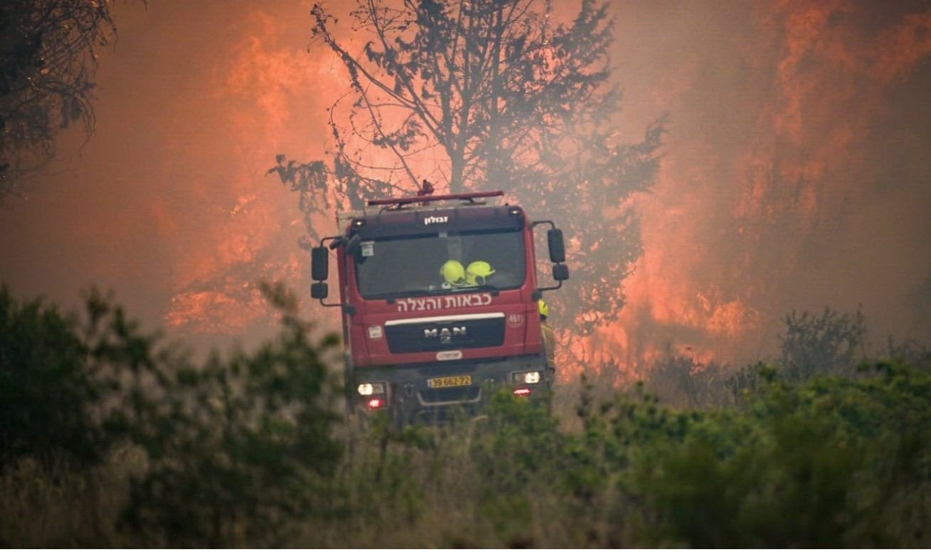 Kebakaran Hutan Besar Terjadi di Israel, Ribuan Warga Mengungsi