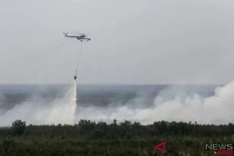 Sumsel Siaga Kebakaran Lahan dan Hutan pada Akhir Mei-Awal Juni