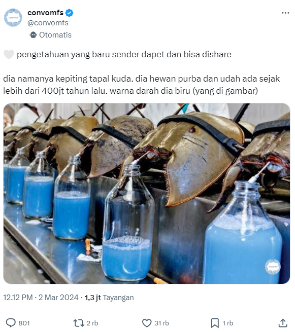 Tangkap layar akun @convomfs.