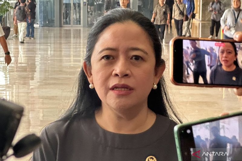 Ketua DPR RI Puan Maharani. (Foto: Antara)
