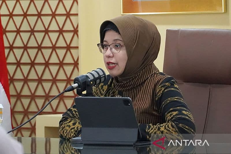 Amalia sebelum diangkat jadi Kepala BPS sudah lebih dulu menjabat Plt. (Antara)