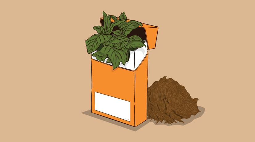 Paradoks Tembakau: Sumbangan Cukai Kian Besar, Rokok Ilegal Banyak Tersebar