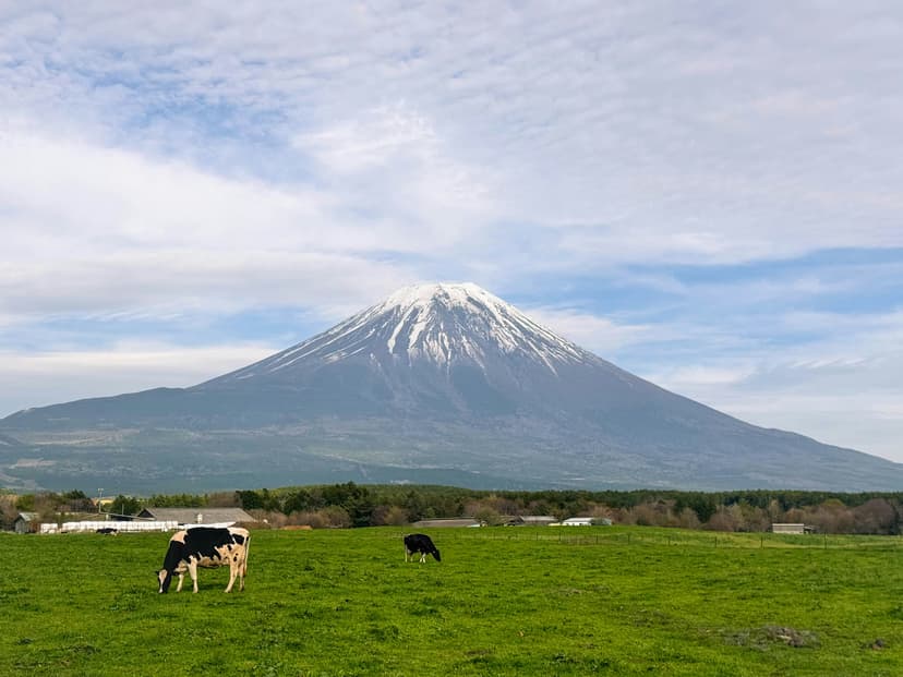 Jepang Minta Indonesia Kirim Lebih Banyak Pekerja Migran