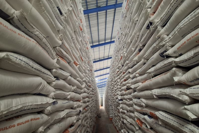 Inflasi Beras Jepang Meroket, Kementan Instruksikan Percepatan Swasembada