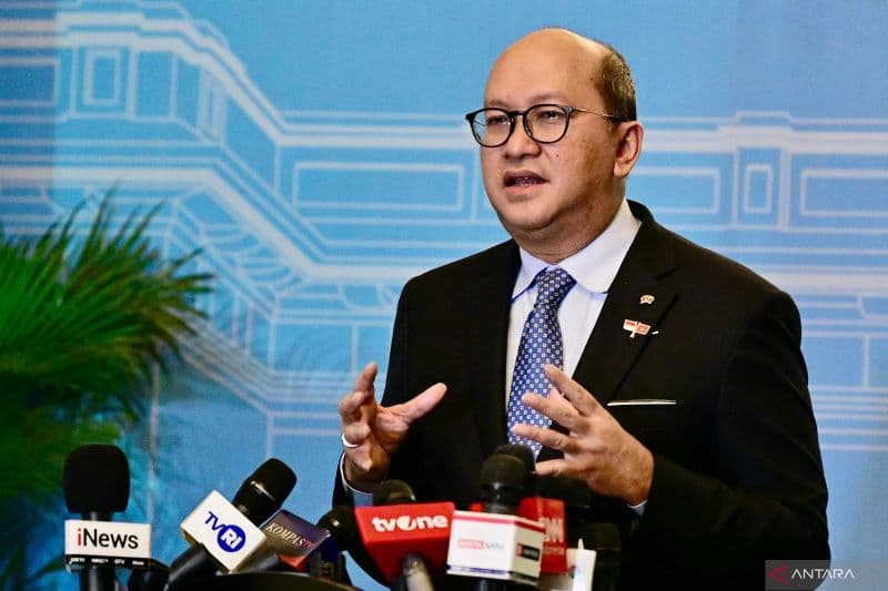 Rosan Yakin VinFast Serius Mau Bangun Pabrik di Indonesia