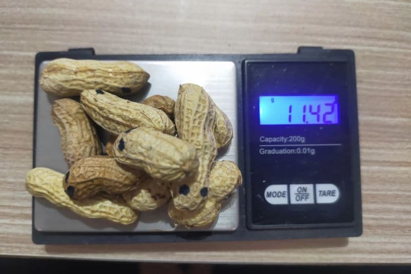 Modus Baru Peredaran Narkoba, Sabu-sabu Dimasukkan dalam Kulit Kacang