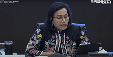 Realisasi PNBP Lebih Rendah dari 2023, Apa Sebabnya?