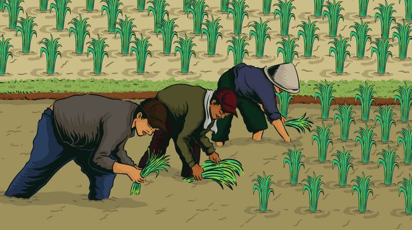 Realokasi Anggaran ke Bidang Pertanian, Sudah Efisien?