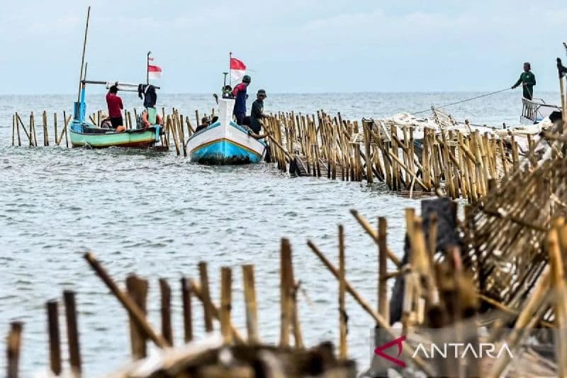 Sejumlah nelayan bersama personel TNI AL membongkar pagar laut di Tangerang, Banten. (Foto: Antara)