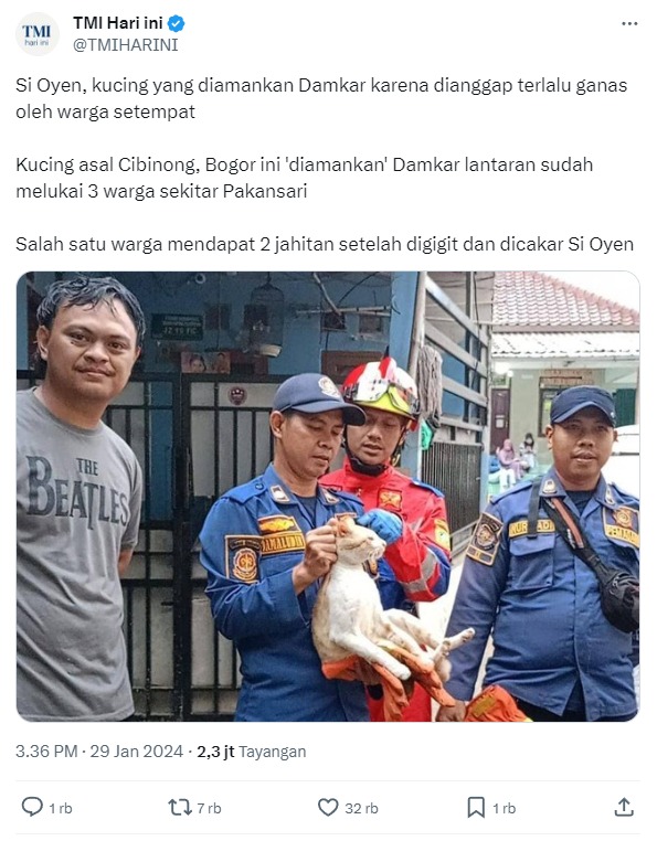 Detik-detik `penangkapan` kucing oren. (Screenshot akun X @TMIHARINI)